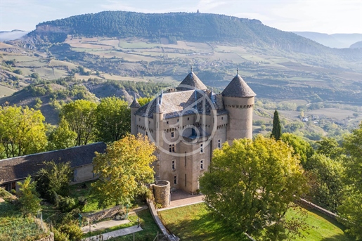 Imponente castello del 14 ° secolo - magnifica vista