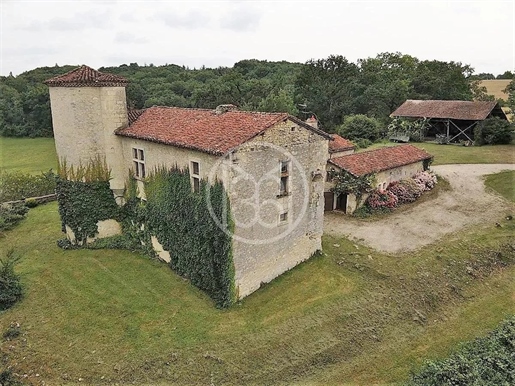 Château XVIème imh - 4 Hektar
