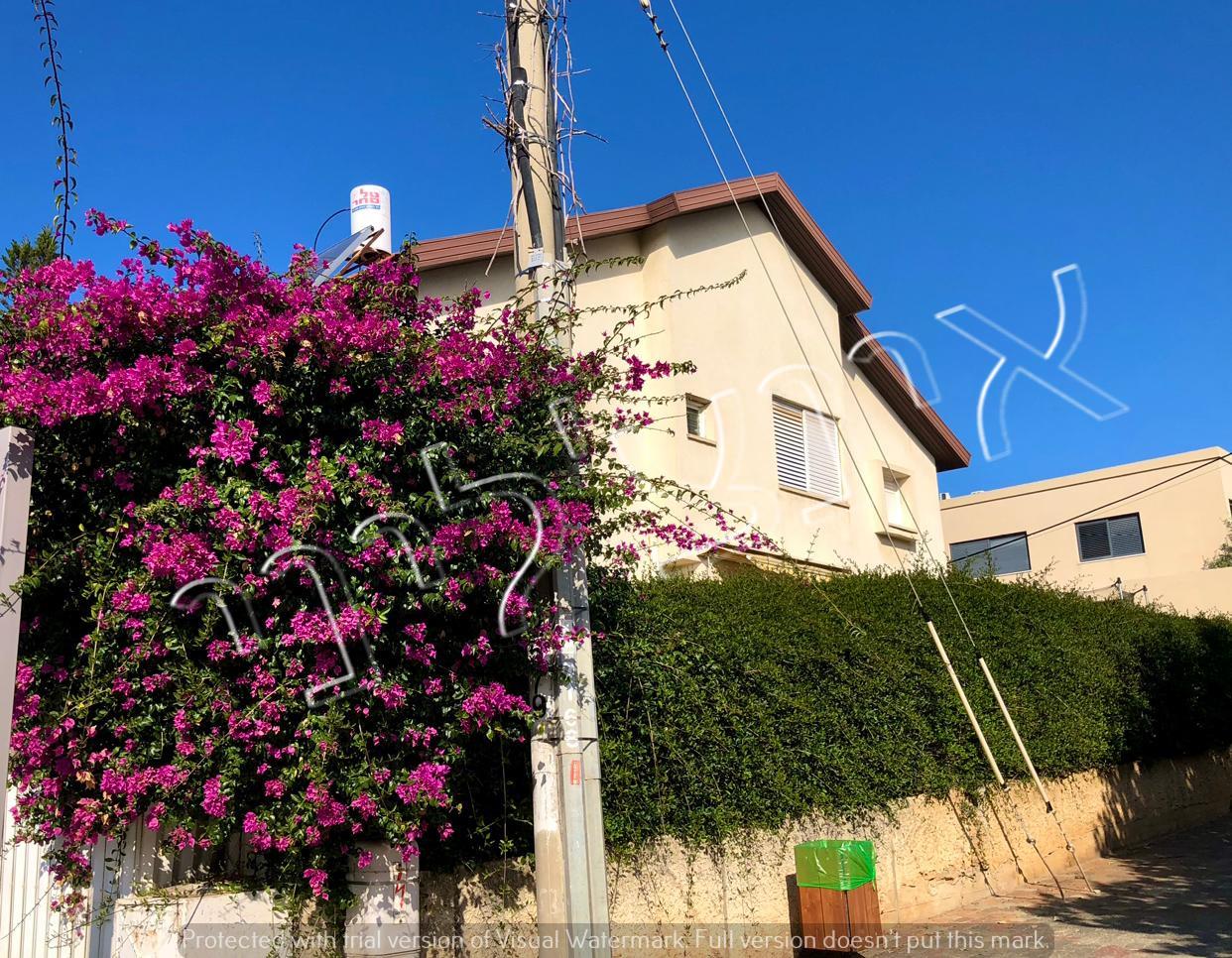 In Herzliya,A beautiful and unique corner cottage.