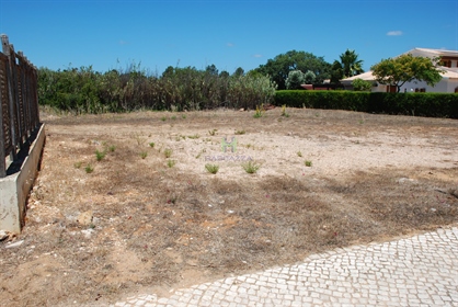 Plot of Land for construction of a Detached Villa, in Barão de S. Miguel