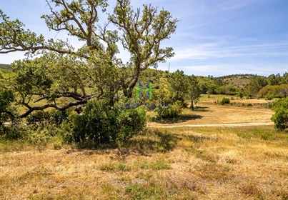 2 Plots of Rustic Land, with a total area of 5,500 sq.m, with borehole, near Aljezur