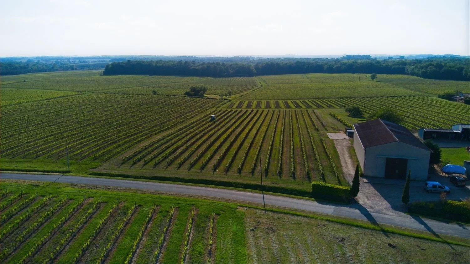 Finca de vino ecológico de 22 hectáreas - Ref 72