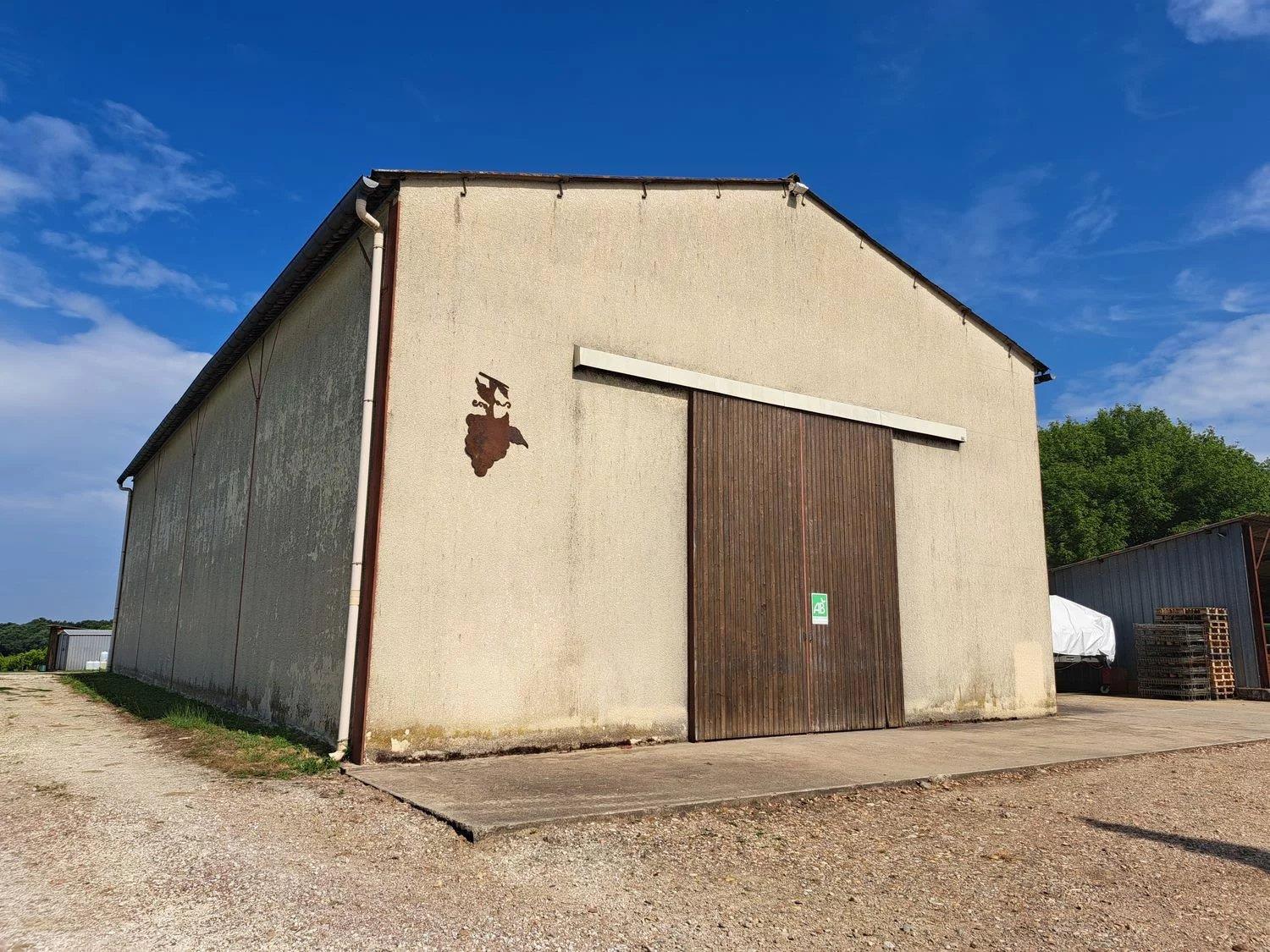 Finca de vino ecológico de 22 hectáreas - Ref 72