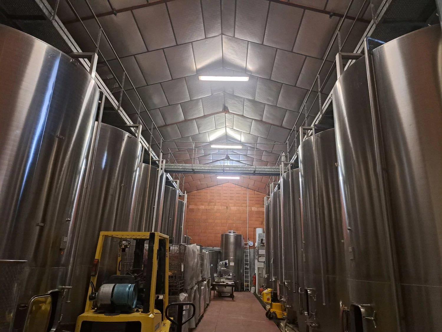 Finca de vino ecológico de 22 hectáreas - Ref 72