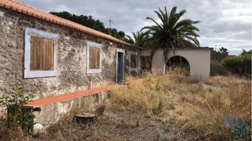 Tierra en el Madeira, Porto Santo