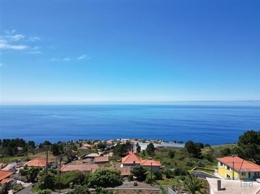 Terra a Calheta (Madeira), Madeira