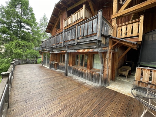 A vendre chalet de Luxe au Cœur de la Station de Ski de la Foux d'Allos