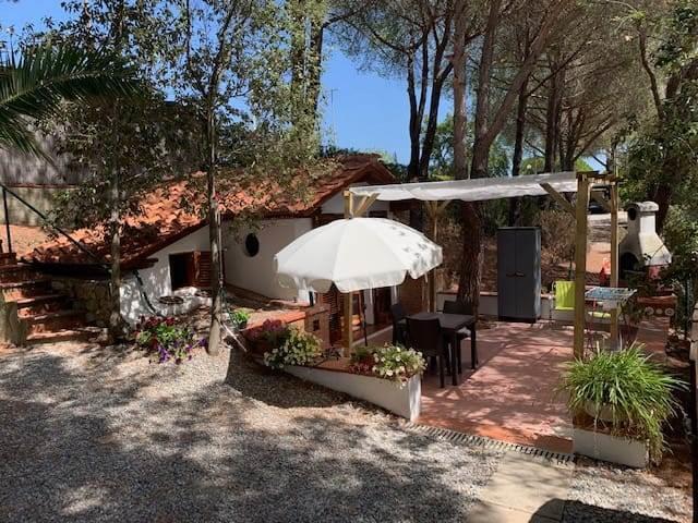 5 Bedrooms - House independent - Tuscany - For Sale - A4018rva