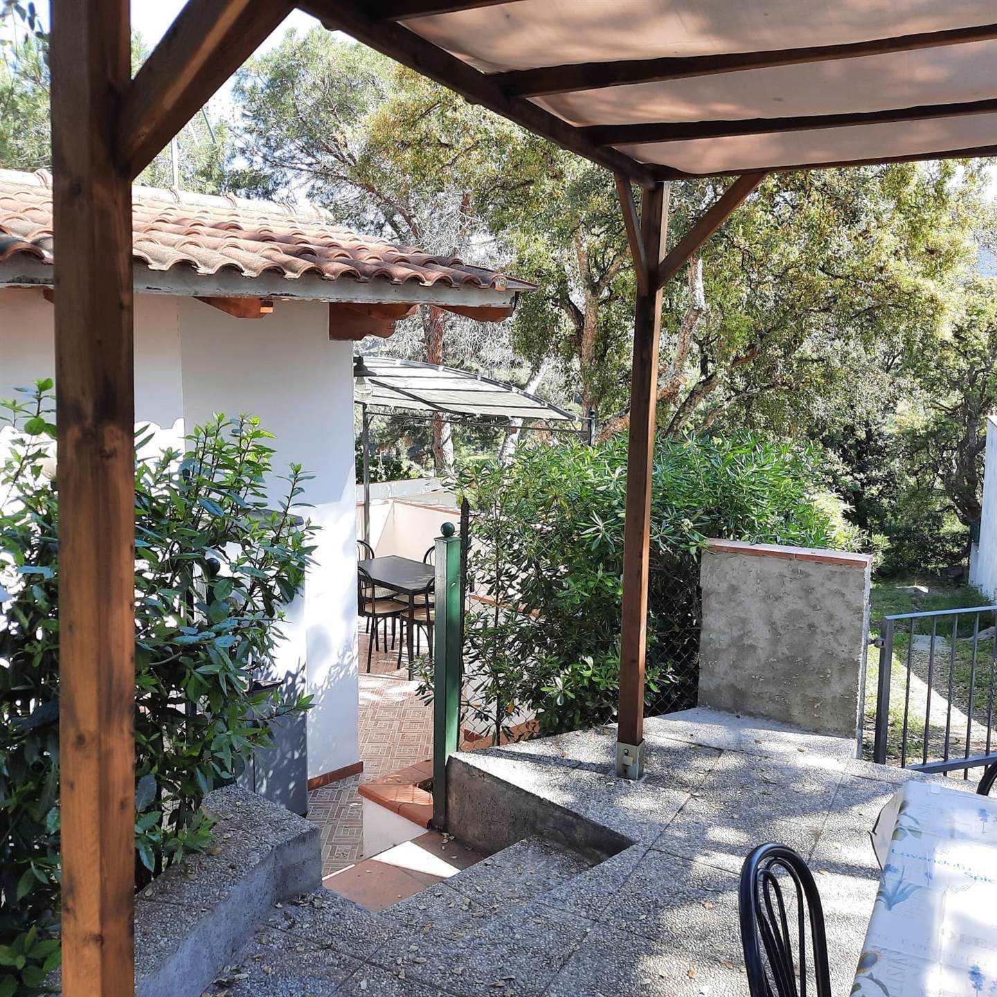 5 Bedrooms - House independent - Tuscany - For Sale - A4018rva