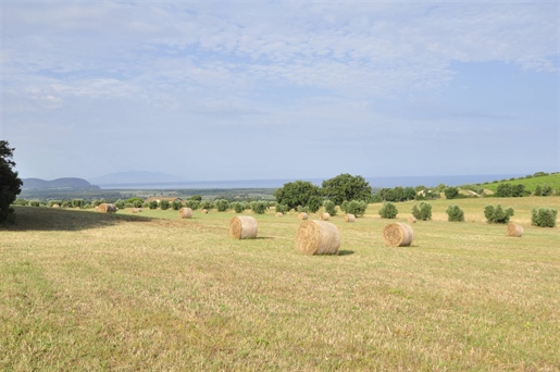 Advert picture