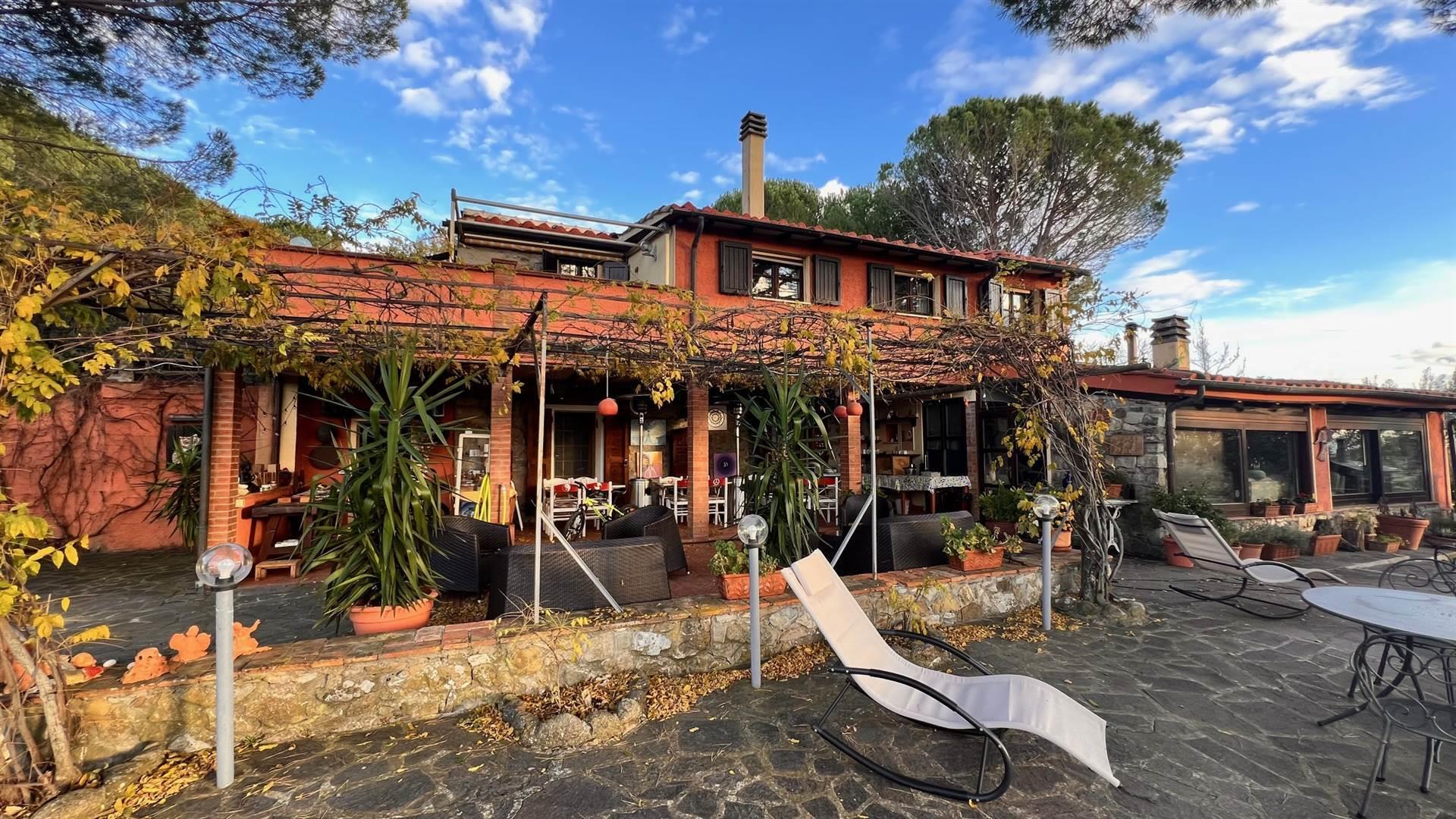 7 Bedrooms - Farmhouse - Tuscany - For Sale - A7631taa