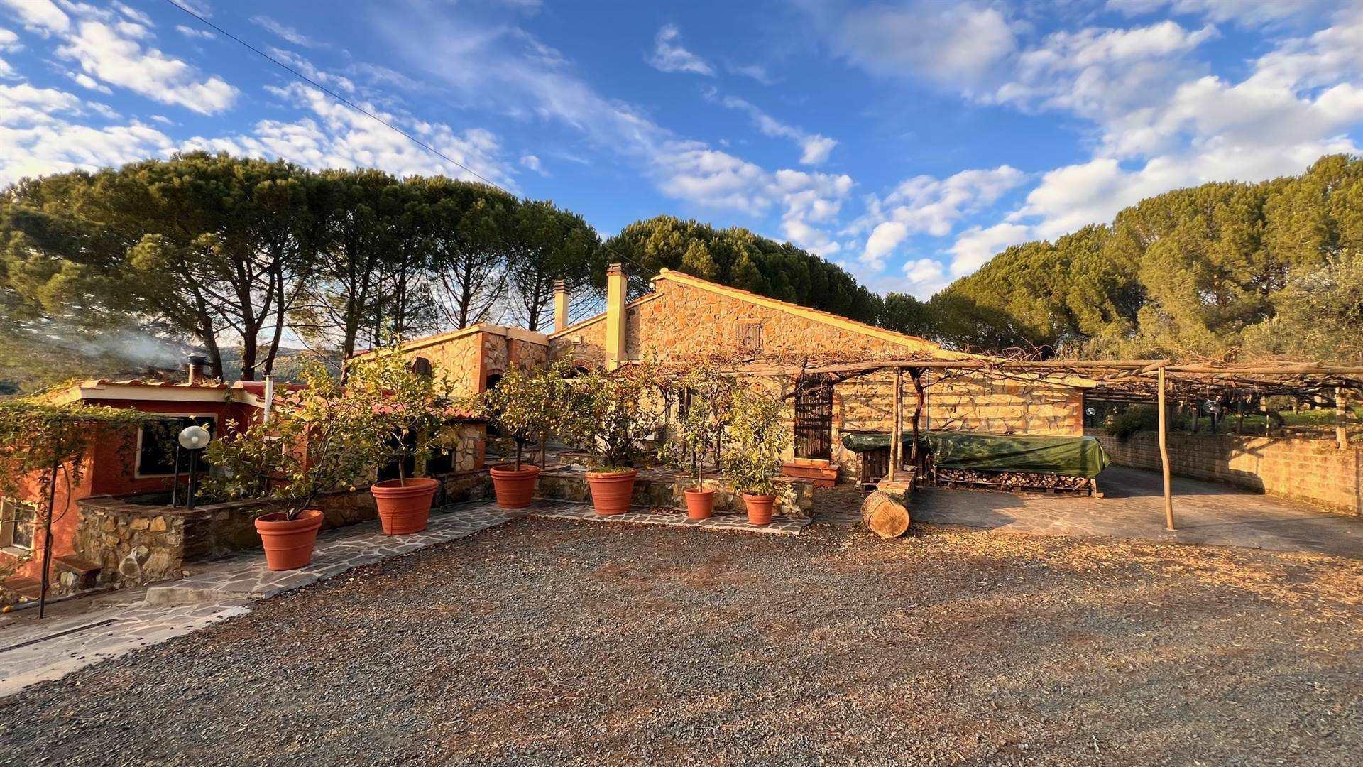 7 Bedrooms - Farmhouse - Tuscany - For Sale - A7631taa