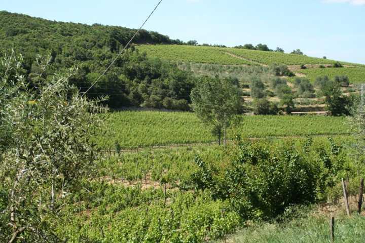 1 Bedroom - Farmhouse - Tuscany - For Sale - A3165ta299337a