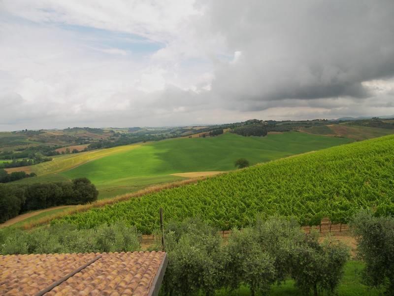 1 Bedroom - Farmhouse - Tuscany - For Sale - A6380taa