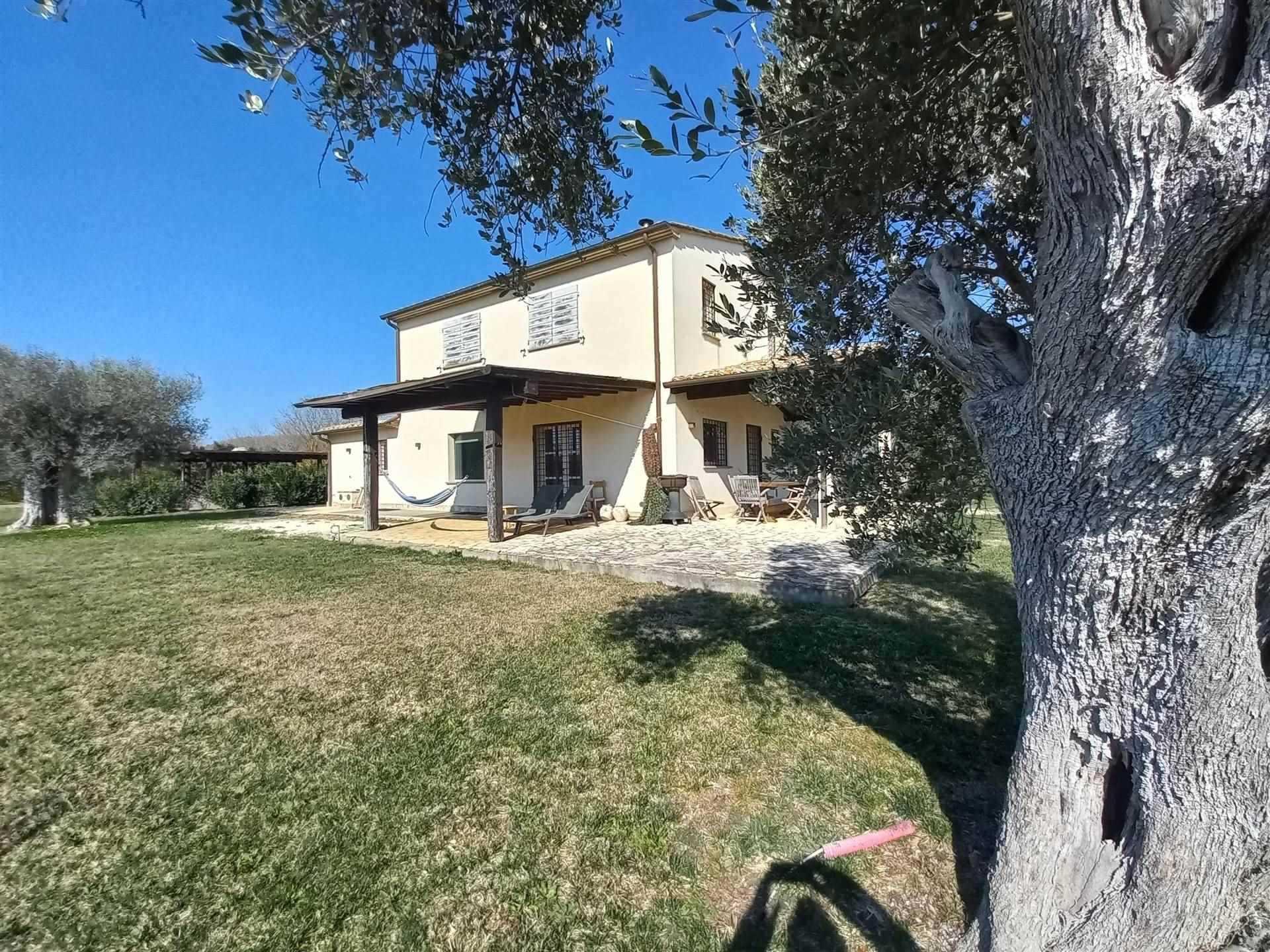 4 Bedrooms - Farmhouse - Tuscany - For Sale - A8013taa