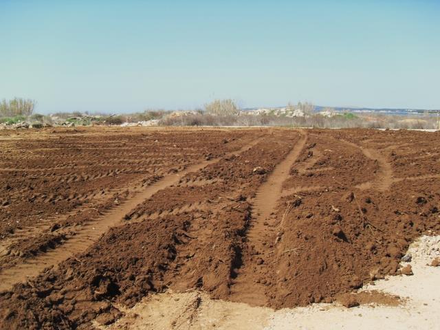 Excellent Plot of land for sale in Privlaka Vir Zadar