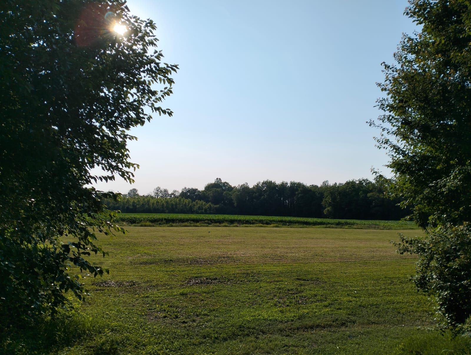 Excellent Plot of land for sale in Silvelle di Trebaseleghe Padua Veneto