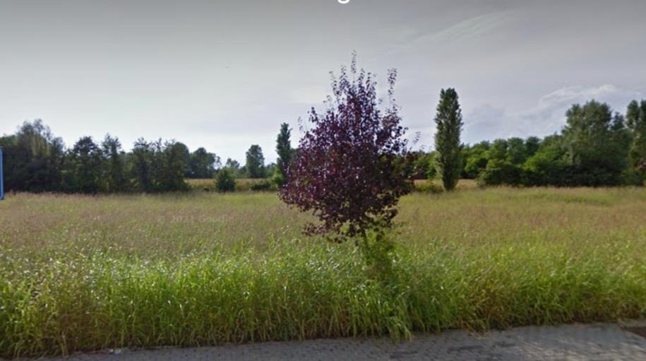 Excellent Plot of land for sale in Silvelle di Trebaseleghe Padua Veneto