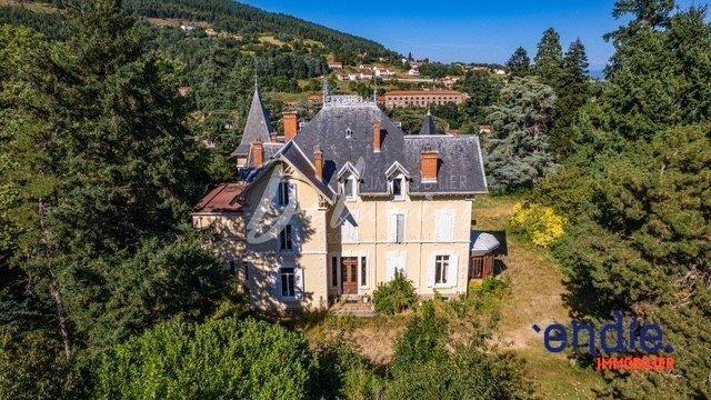 Château d'exception de 597 m2 avec piscine, sur un domaine de 1.7 hectare.
