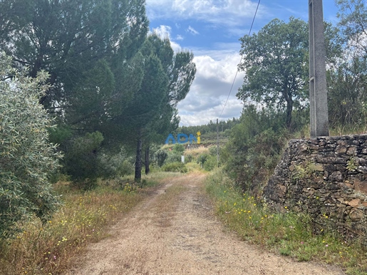 Maison avec annexes et plusieurs terrains, 3ha