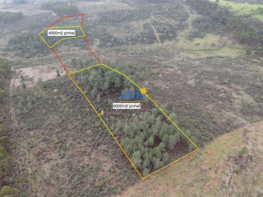 Rustic land for sale with 2,475ha