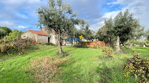 Small farm with house with urban article and license exemption for sale
