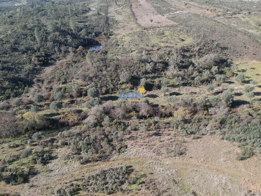 Land with 27500m2, with dam, stream, forest and good access