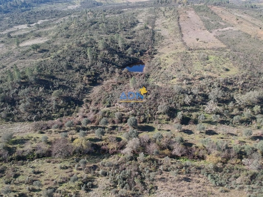 Land with 27500m2, with dam, stream, forest and good access