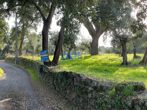 Advert picture