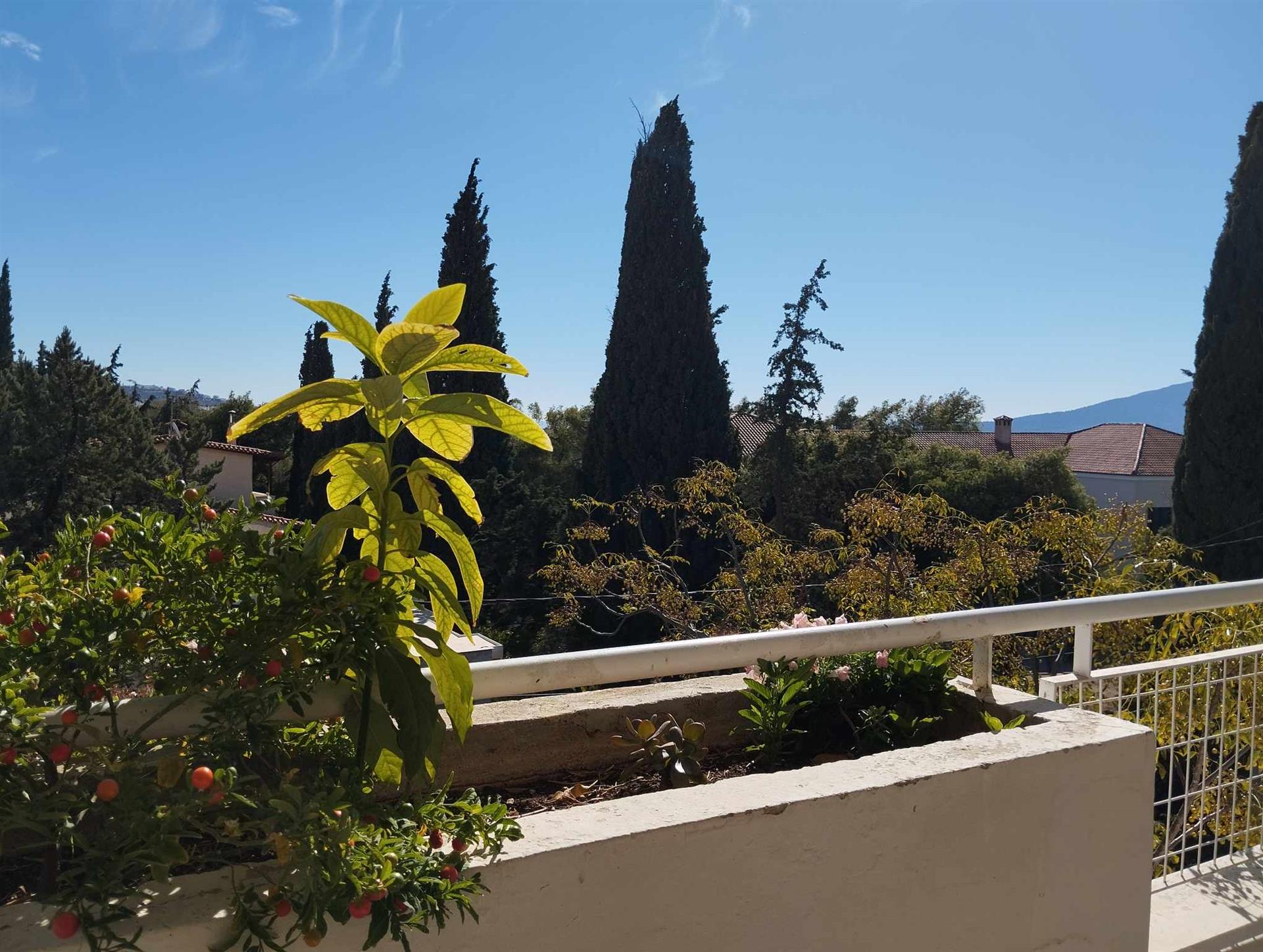 3Rd Floor Apartment with Unobstructed Views of Syggrou Grove