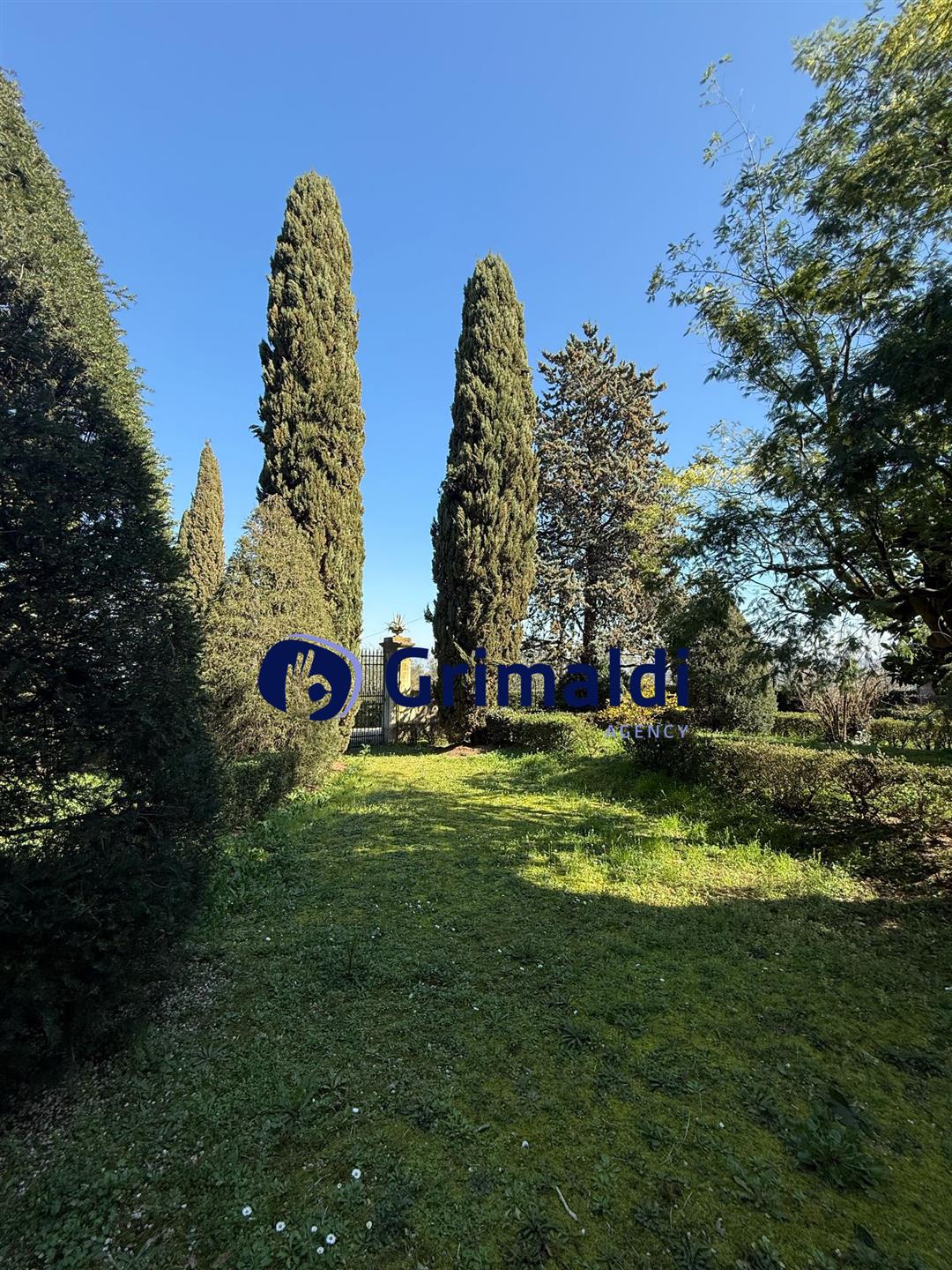 Compra: Casa (50018)