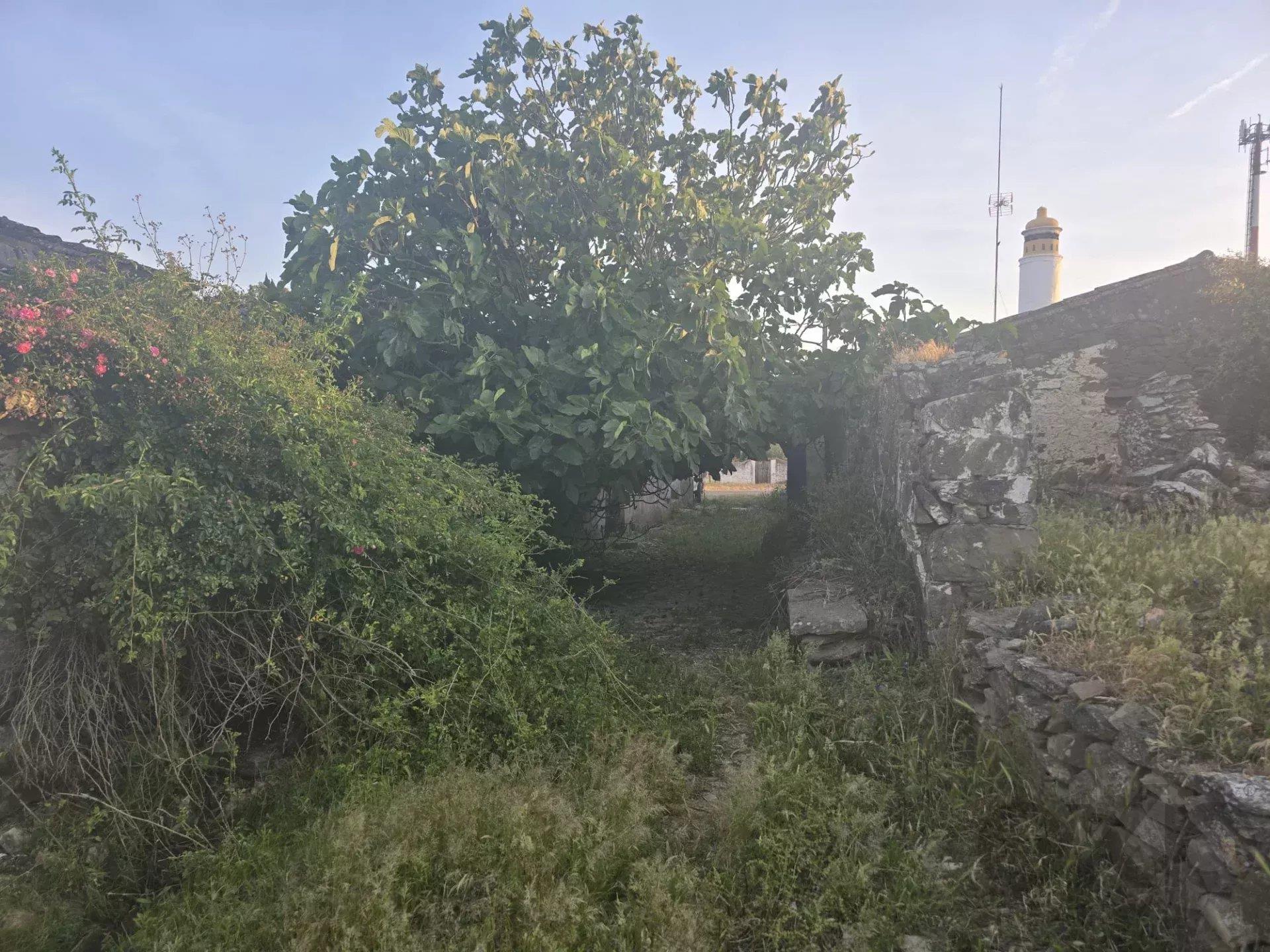 Baixo Alentejo - 55.9 ha of Freedom and Potential in Baixo Alentejo
