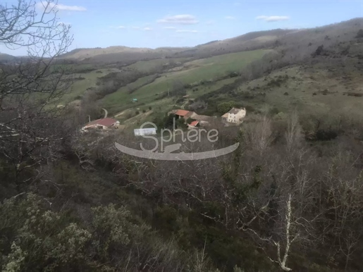 Property on 100 hectares