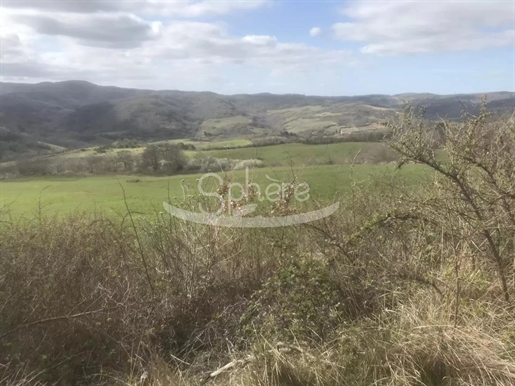 Property on 100 hectares