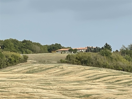 Bild der Anzeige