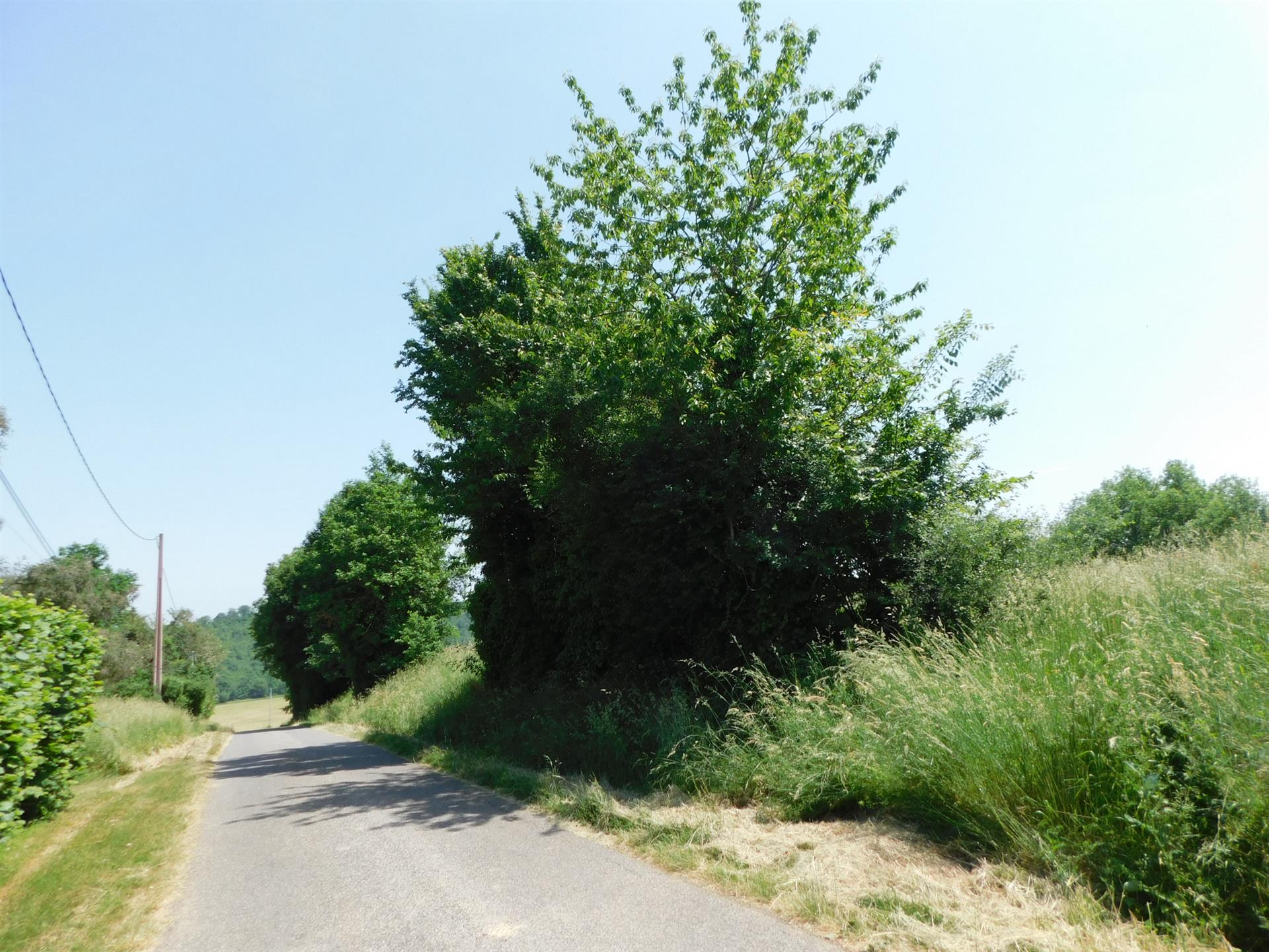 Près de Simorre terrain autorisant la construction vue sur le Pyrénées