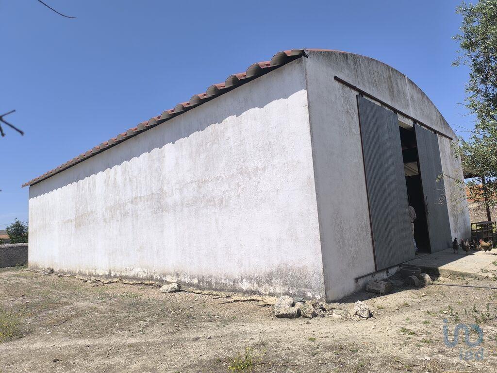 Miscellaneous trade in Cano with 340,00 m²