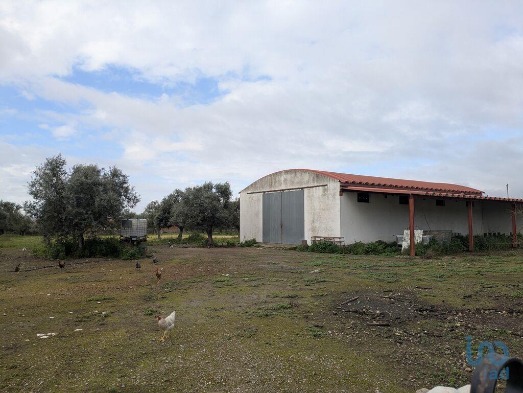 Miscellaneous trade in Cano with 340,00 m²