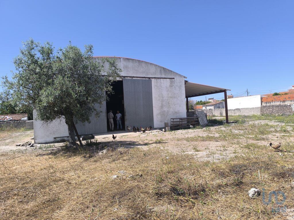 Miscellaneous trade in Cano with 340,00 m²