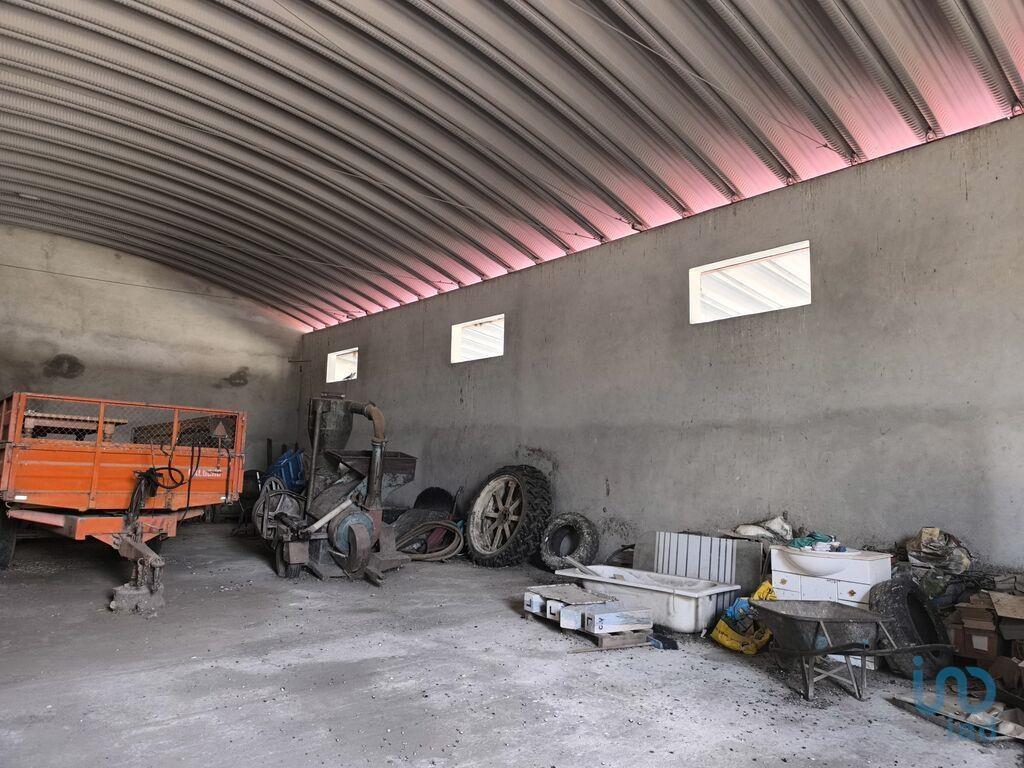 Miscellaneous trade in Cano with 340,00 m²