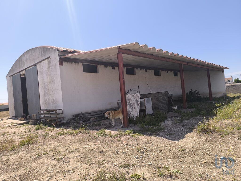 Miscellaneous trade in Cano with 340,00 m²