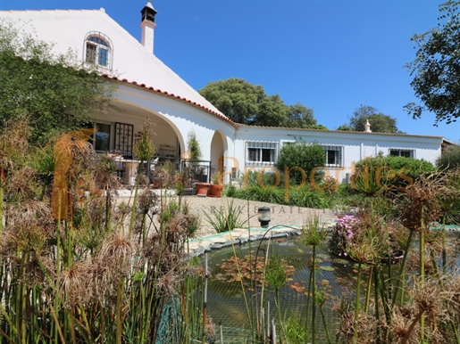 Belle villa de 3 chambres près de São Bras de Alportel avec piscine - Rp01961v