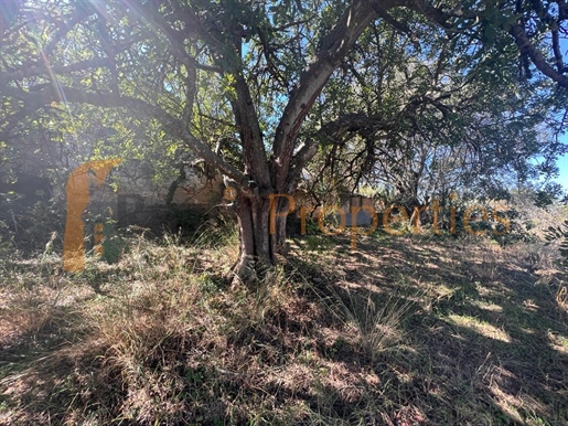 Lovely plot to build close to Loulé Town. Rp1928p