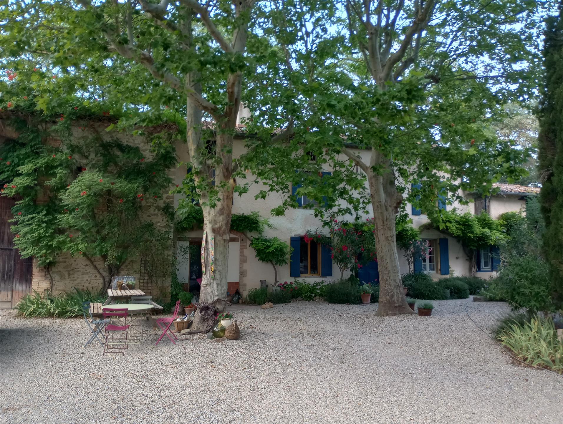 Casa de campo de caráter com 2 hectares de vinhedo orgânico