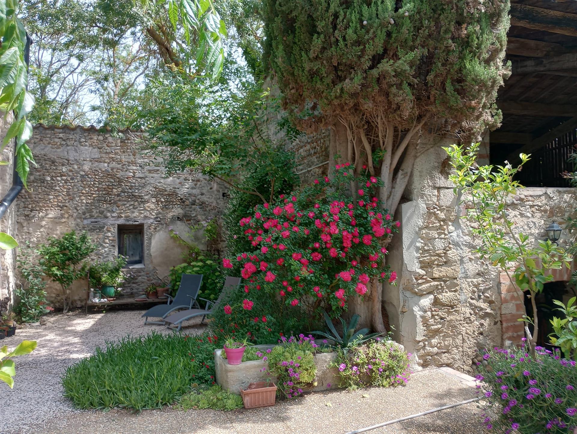 Casa de campo de caráter com 2 hectares de vinhedo orgânico