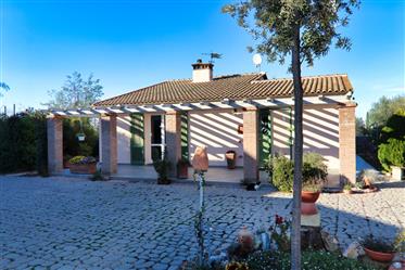 Donoratico, villa individuelle dans la campagne toscane