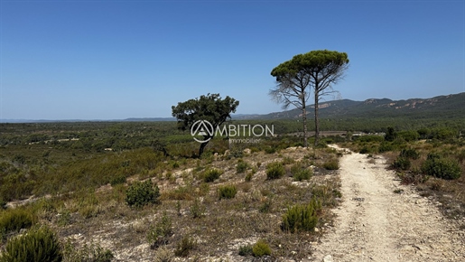 Purchase: Land (83600)