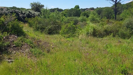 Purchase: Land (83600)