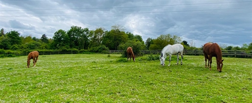 Advert pic 0
