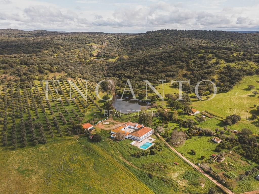 Estate with 182 hectares in the Montemor-o-Novo region - Alentejo